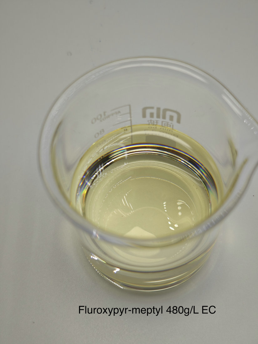Fluroxypyr-meptyl 480g/L EC